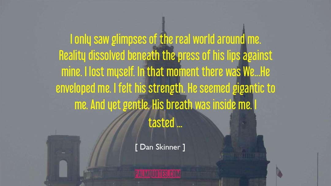 Dan Skinner Quotes: I only saw glimpses of