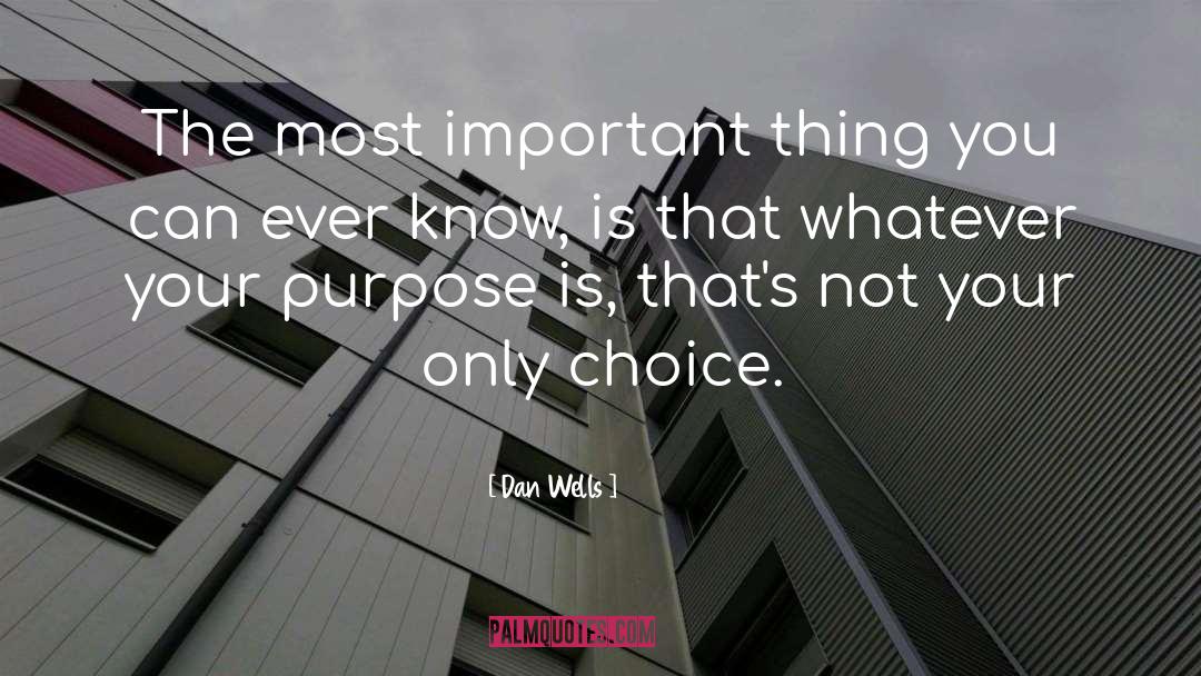 Dan Wells Quotes: The most important thing you