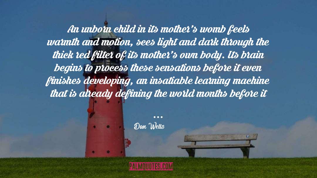 Dan Wells Quotes: An unborn child in its