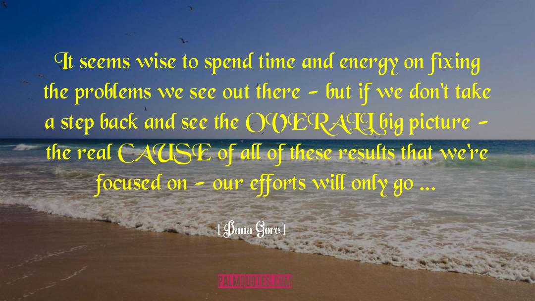 Dana Gore Quotes: It seems wise to spend