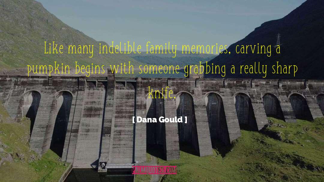 Dana Gould Quotes: Like many indelible family memories,