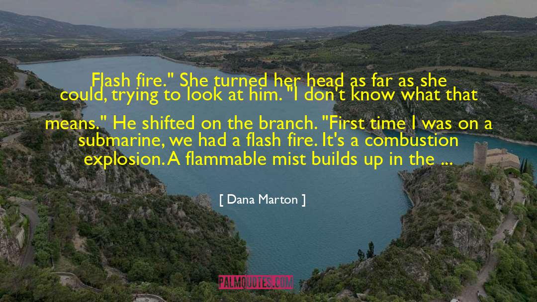 Dana Marton Quotes: Flash fire.