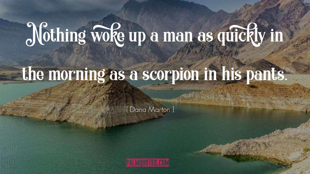 Dana Marton Quotes: Nothing woke up a man
