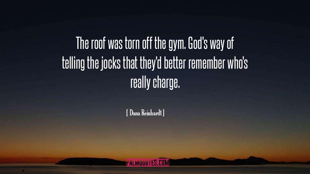 Dana Reinhardt Quotes: The roof was torn off