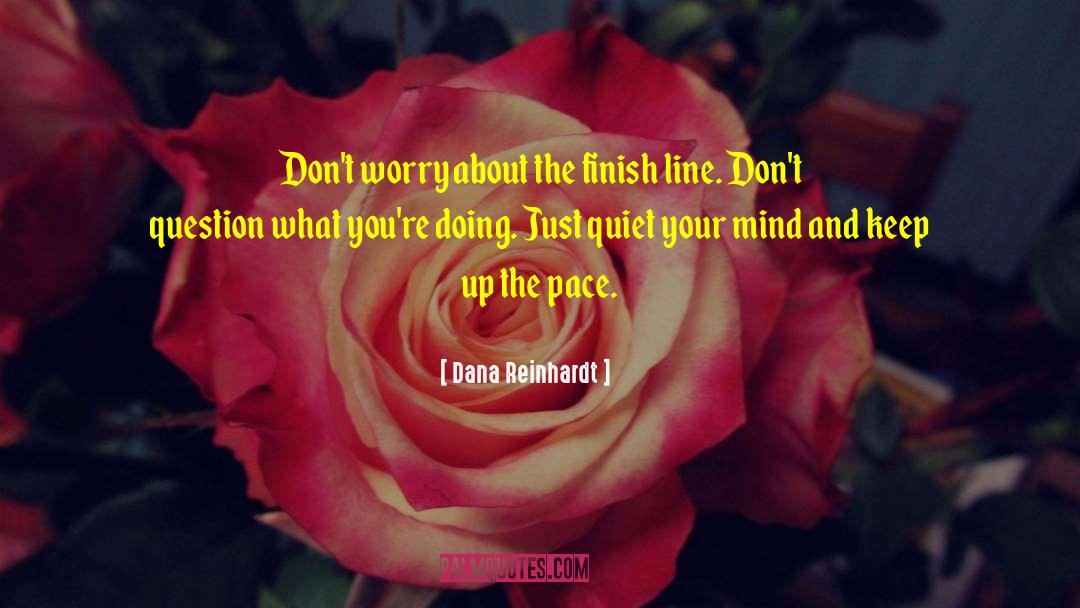 Dana Reinhardt Quotes: Don't worry about the finish