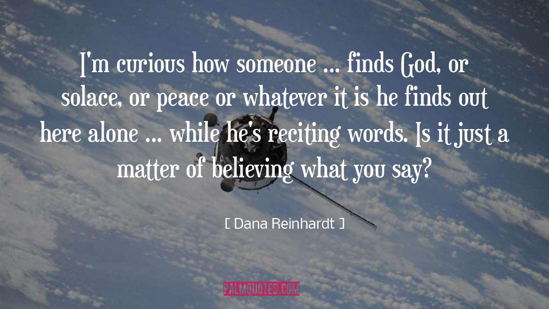 Dana Reinhardt Quotes: I'm curious how someone ...