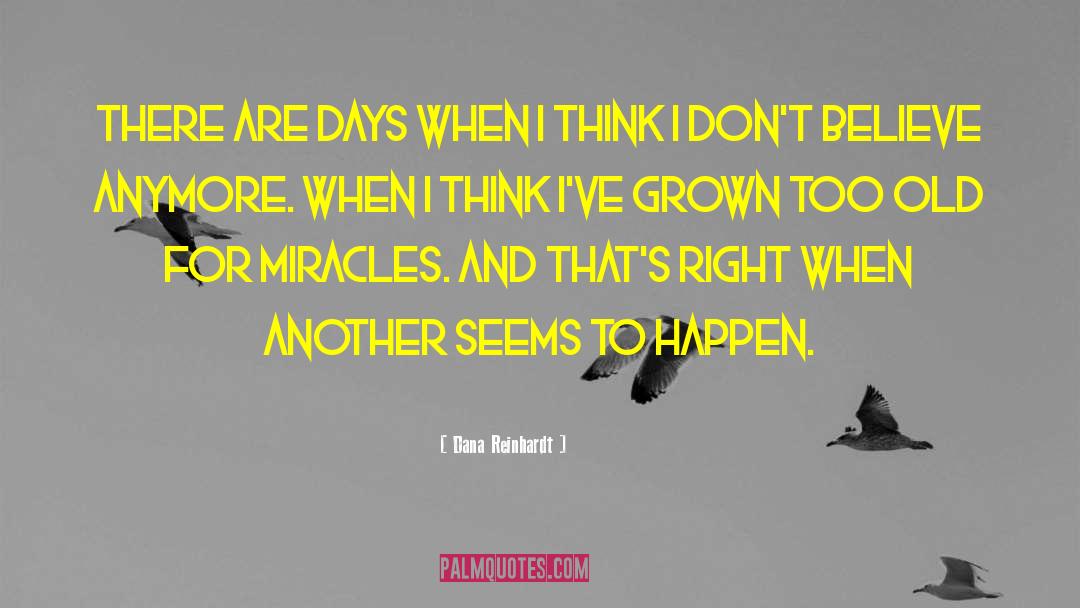 Dana Reinhardt Quotes: There are days when I