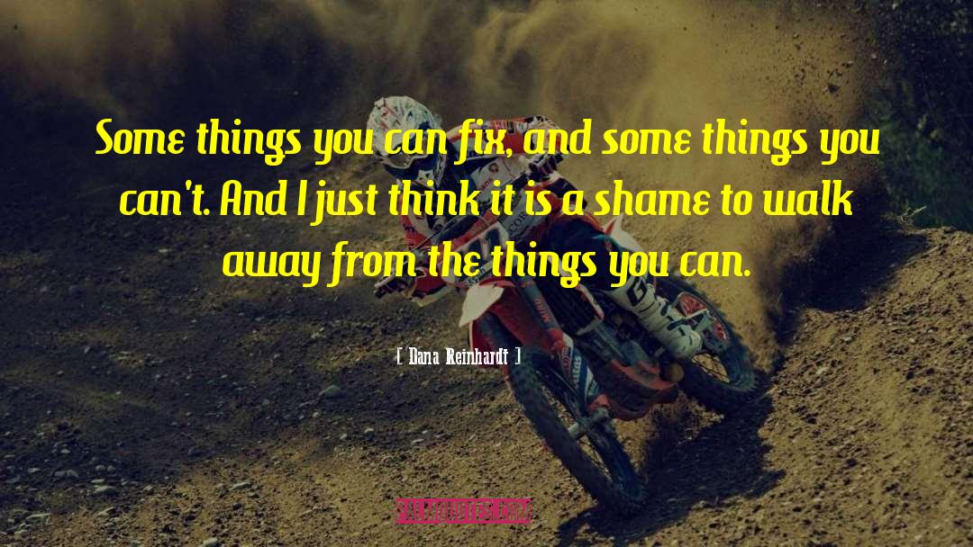 Dana Reinhardt Quotes: Some things you can fix,