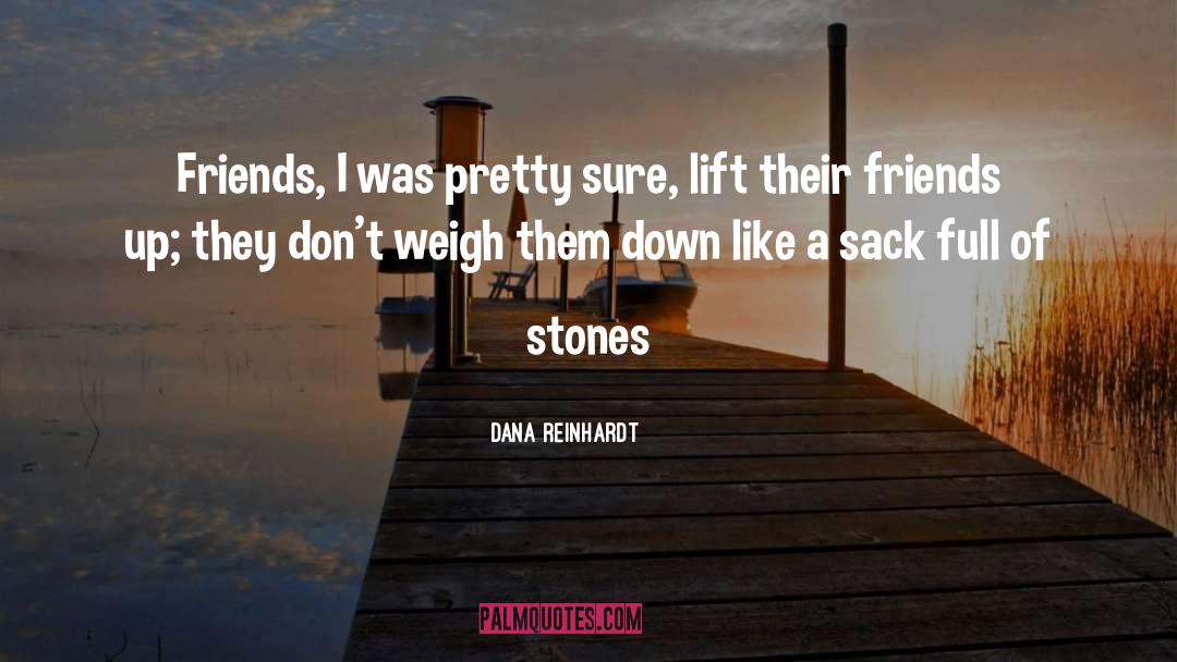Dana Reinhardt Quotes: Friends, I was pretty sure,