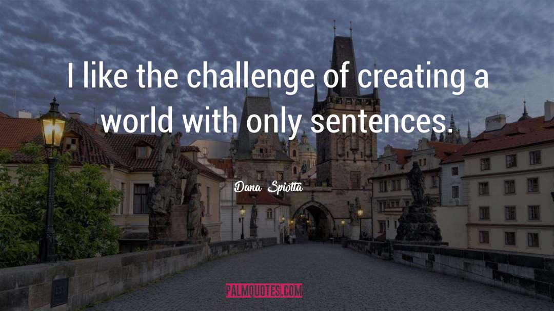 Dana Spiotta Quotes: I like the challenge of