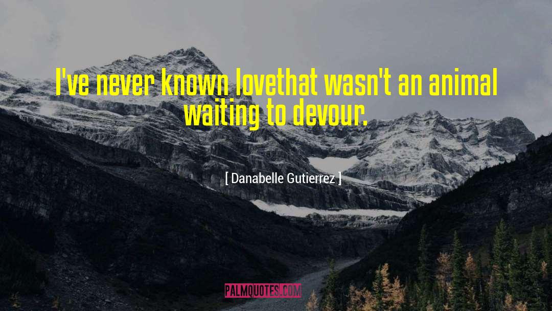 Danabelle Gutierrez Quotes: I've never known love<br />that