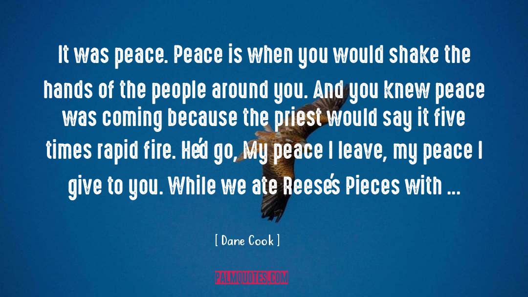 Dane Cook Quotes: It was peace. Peace is