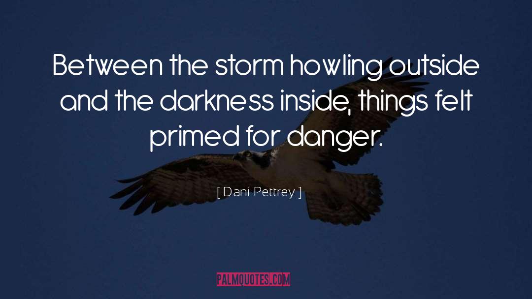 Dani Pettrey Quotes: Between the storm howling outside