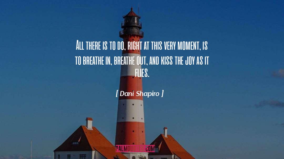 Dani Shapiro Quotes: All there is to do,