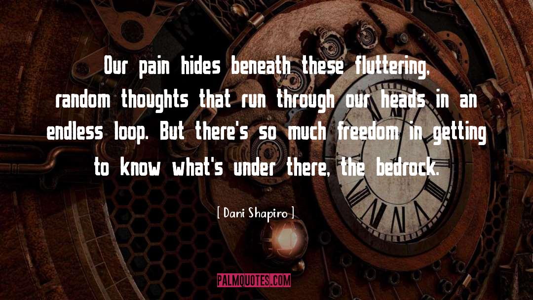 Dani Shapiro Quotes: Our pain hides beneath these