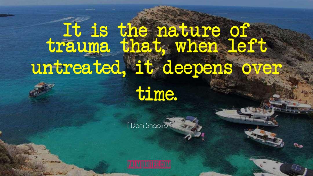 Dani Shapiro Quotes: It is the nature of