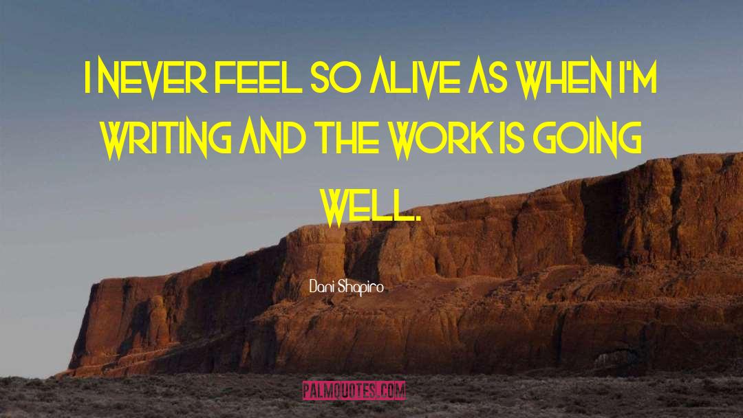 Dani Shapiro Quotes: I never feel so alive