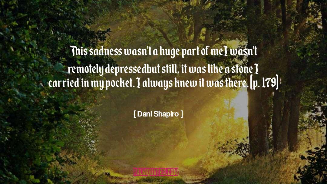 Dani Shapiro Quotes: This sadness wasn't a huge