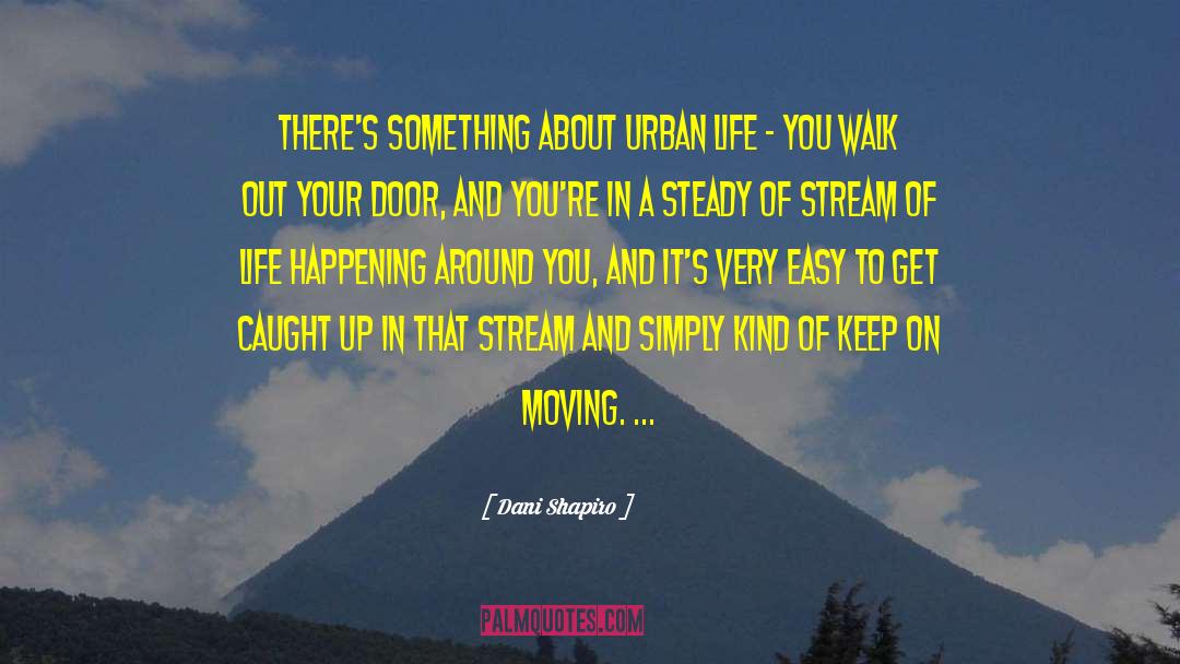 Dani Shapiro Quotes: There's something about urban life