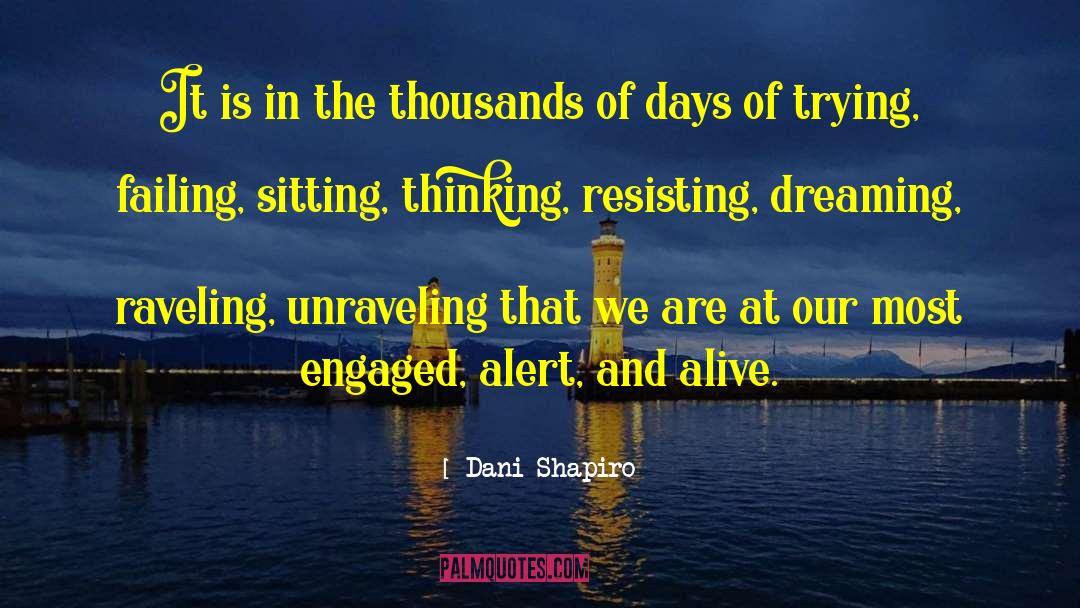 Dani Shapiro Quotes: It is in the thousands