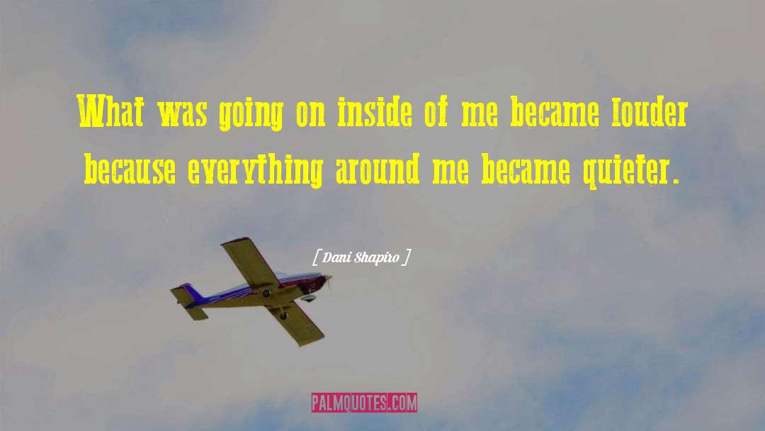 Dani Shapiro Quotes: What was going on inside