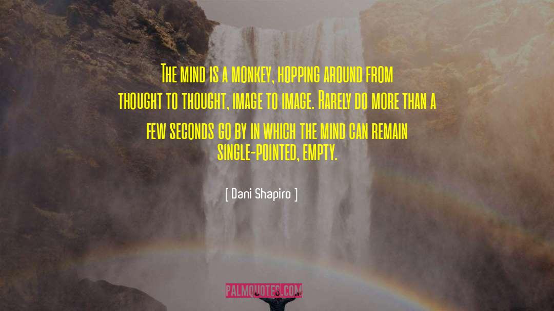 Dani Shapiro Quotes: The mind is a monkey,