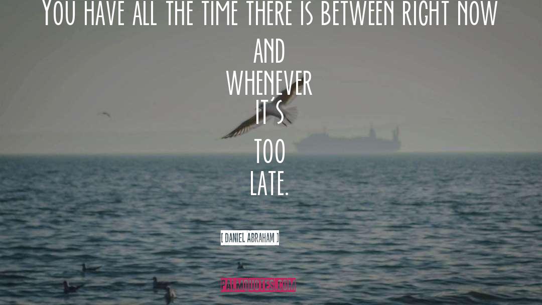 Daniel Abraham Quotes: You have all the time