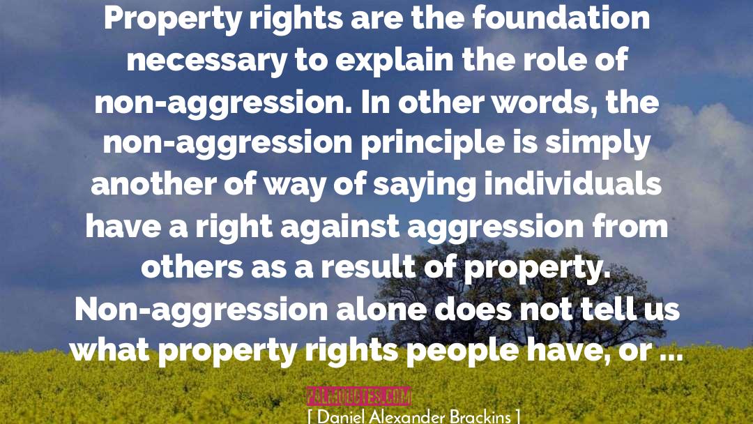Daniel Alexander Brackins Quotes: Property rights are the foundation
