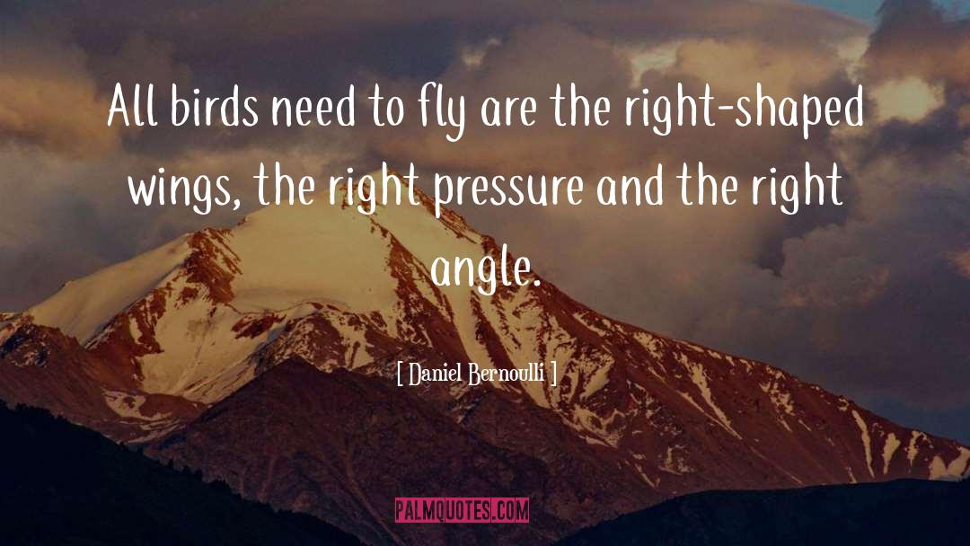 Daniel Bernoulli Quotes: All birds need to fly