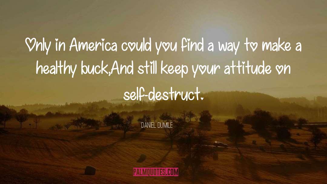 Daniel Dumile Quotes: Only in America could you