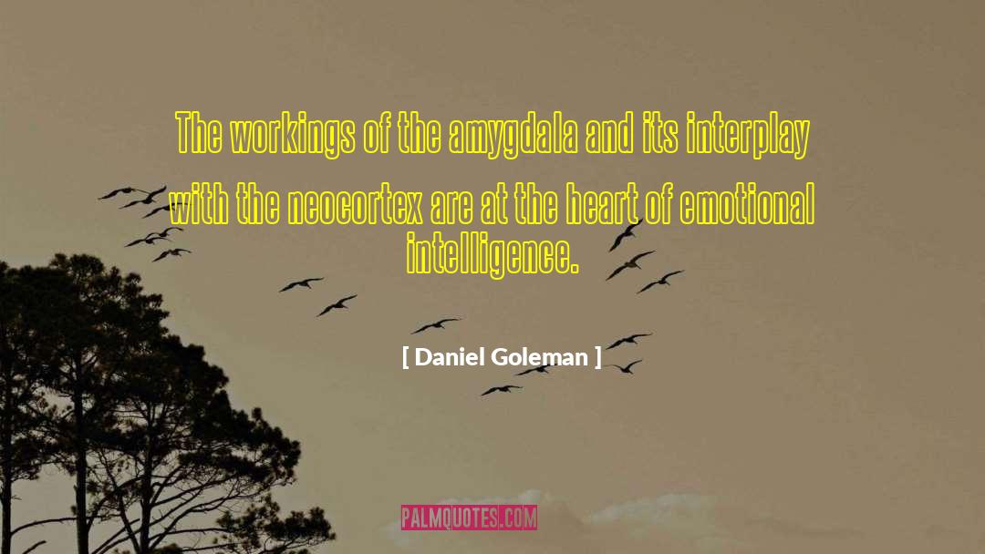 Daniel Goleman Quotes: The workings of the amygdala