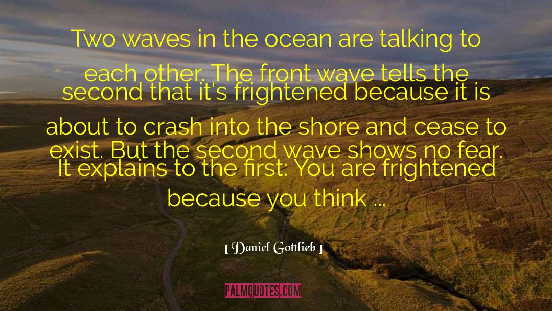 Daniel Gottlieb Quotes: Two waves in the ocean