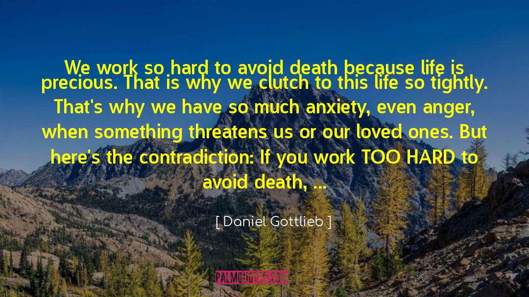 Daniel Gottlieb Quotes: We work so hard to