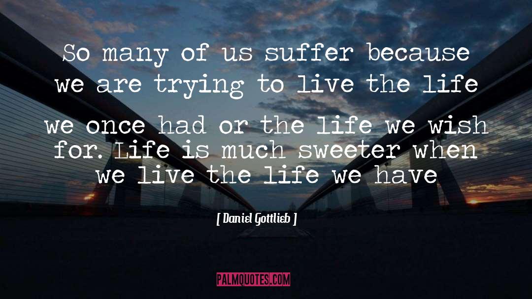 Daniel Gottlieb Quotes: So many of us suffer