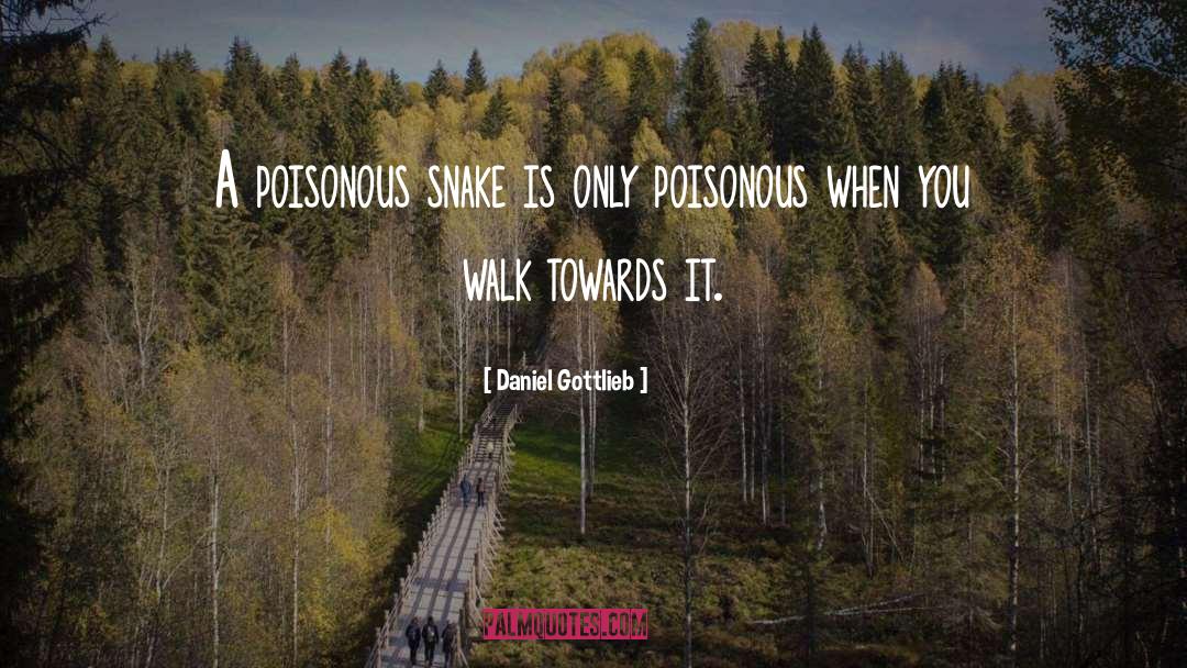 Daniel Gottlieb Quotes: A poisonous snake is only