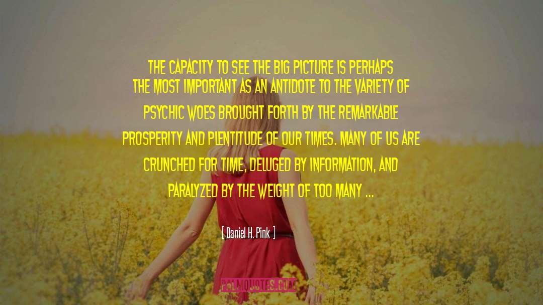 Daniel H. Pink Quotes: The capacity to see the