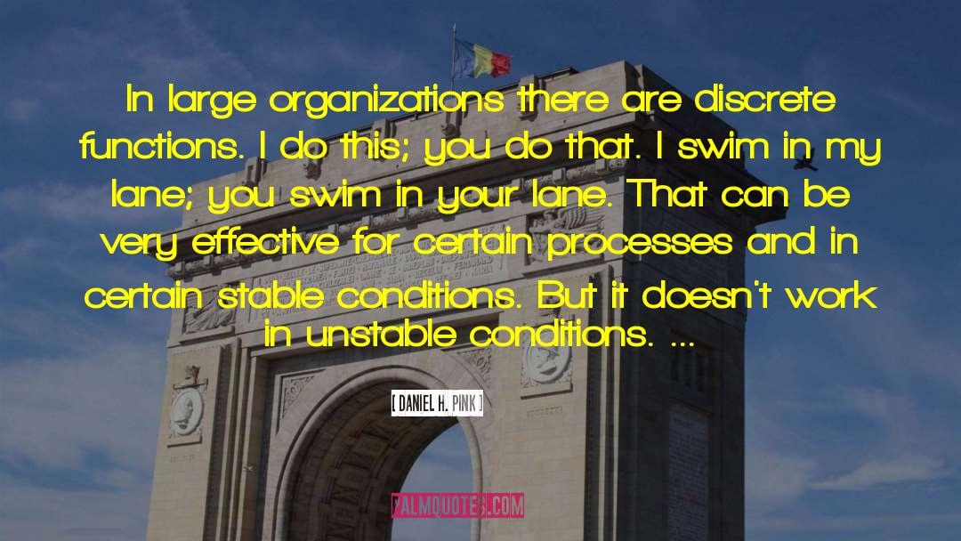 Daniel H. Pink Quotes: In large organizations there are