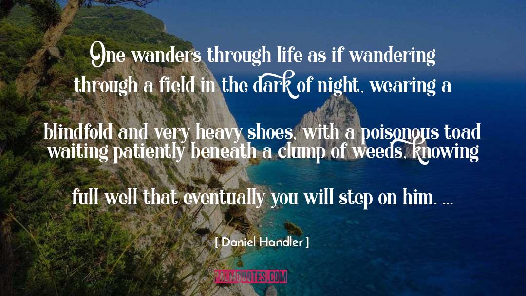 Daniel Handler Quotes: One wanders through life as
