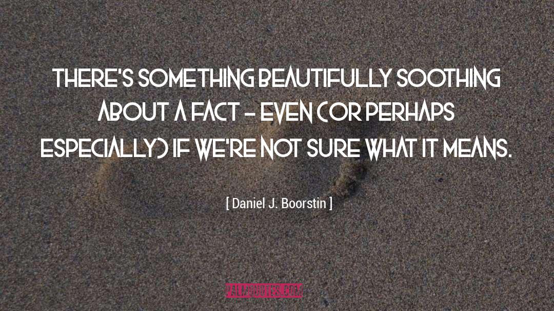 Daniel J. Boorstin Quotes: There's something beautifully soothing about