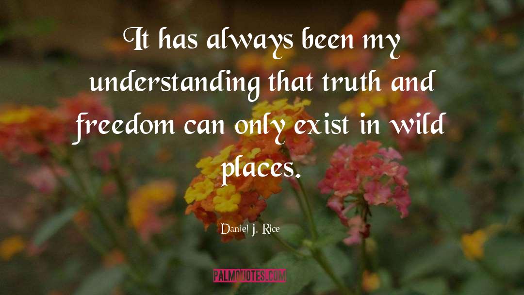 Daniel J. Rice Quotes: It has always been my