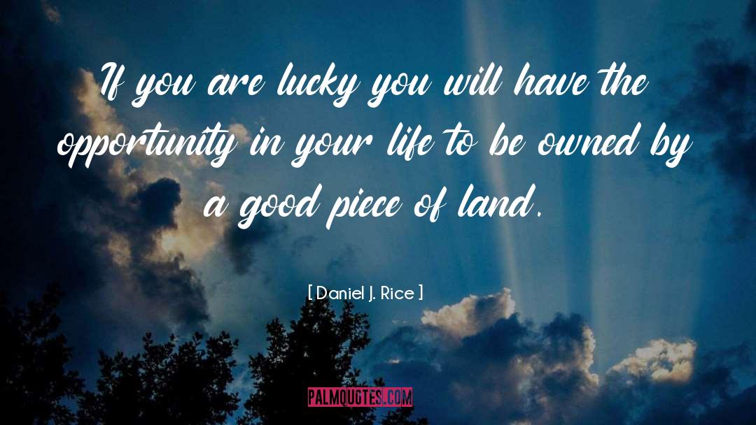 Daniel J. Rice Quotes: If you are lucky you