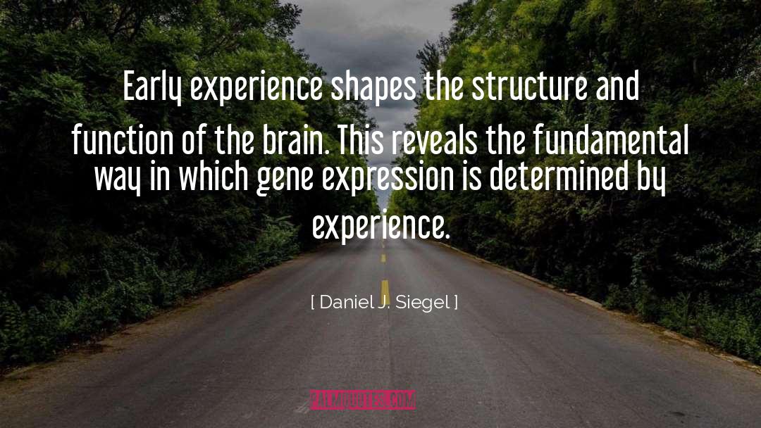 Daniel J. Siegel Quotes: Early experience shapes the structure