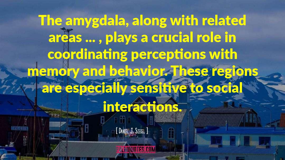 Daniel J. Siegel Quotes: The amygdala, along with related