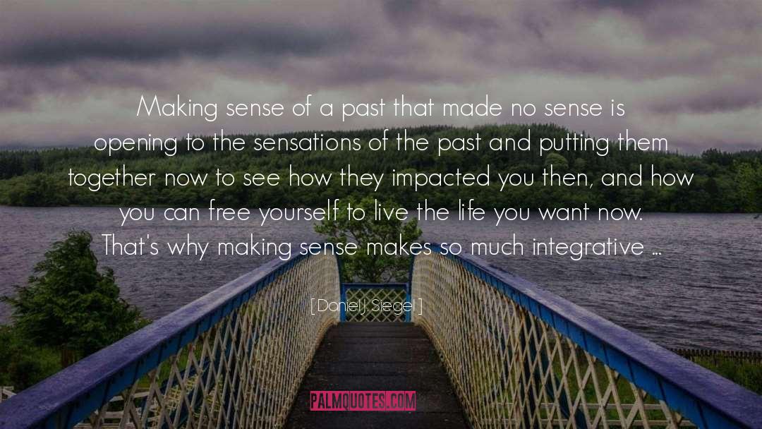 Daniel J. Siegel Quotes: Making sense of a past