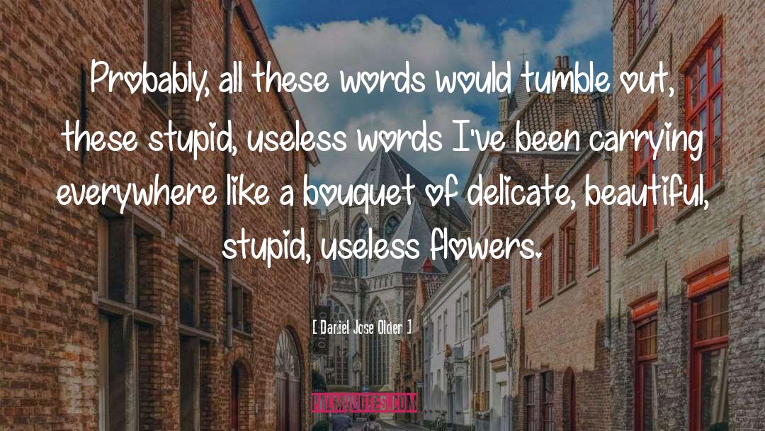 Daniel Jose Older Quotes: Probably, all these words would