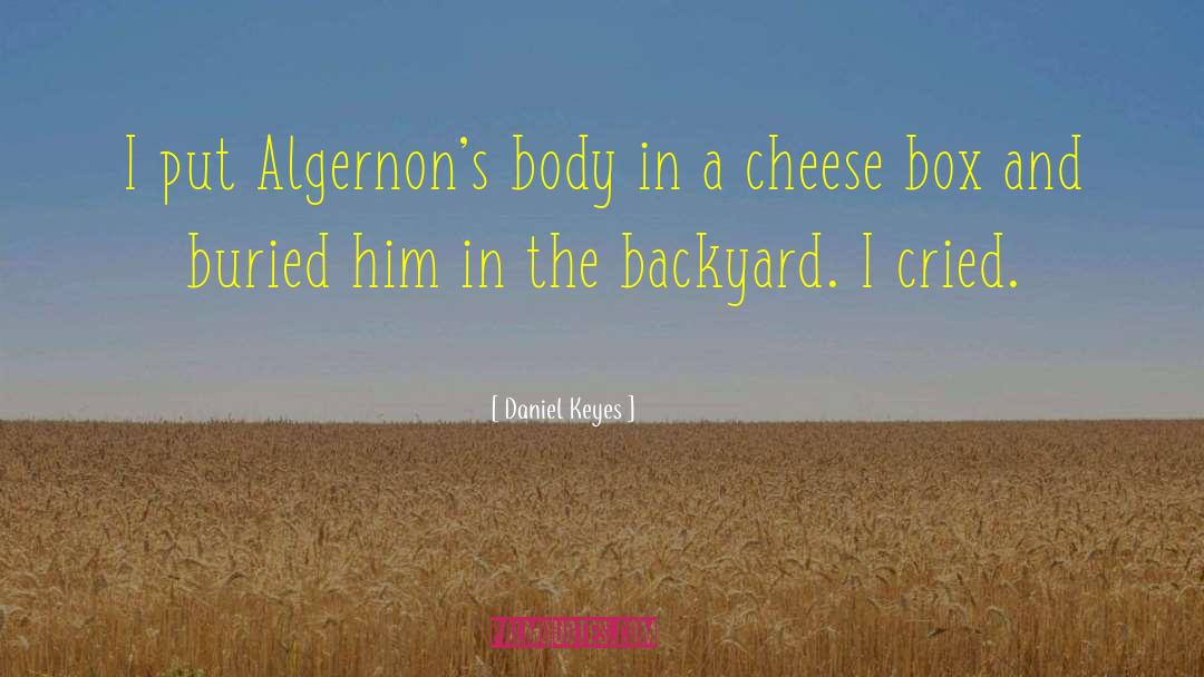 Daniel Keyes Quotes: I put Algernon's body in