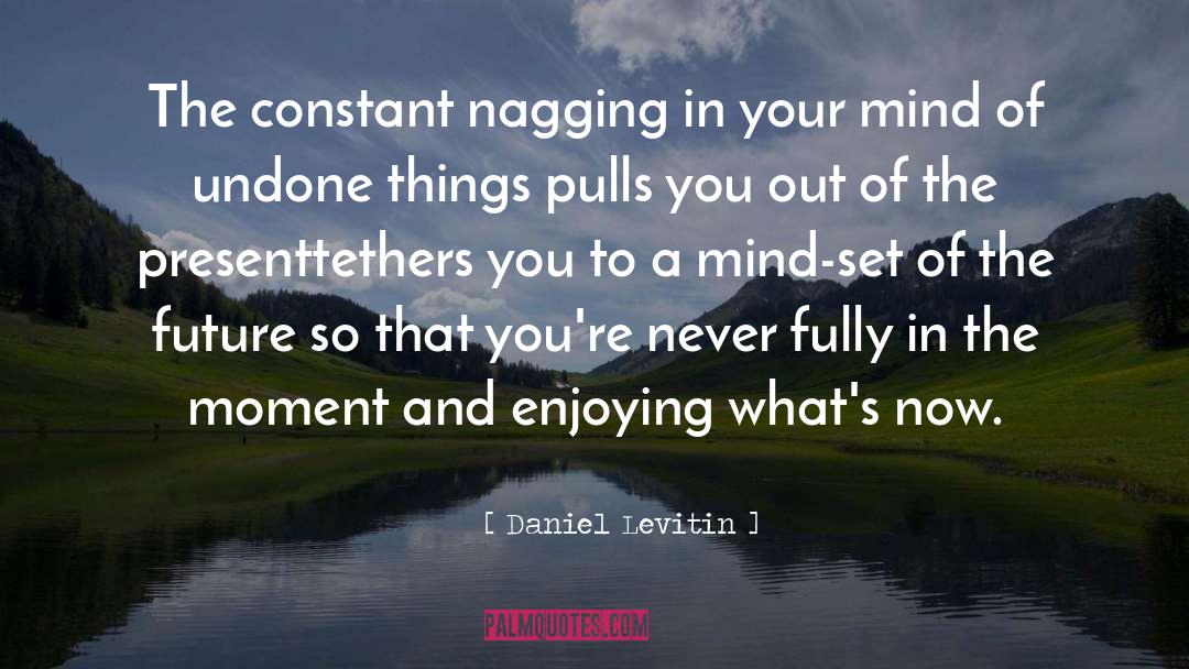 Daniel Levitin Quotes: The constant nagging in your