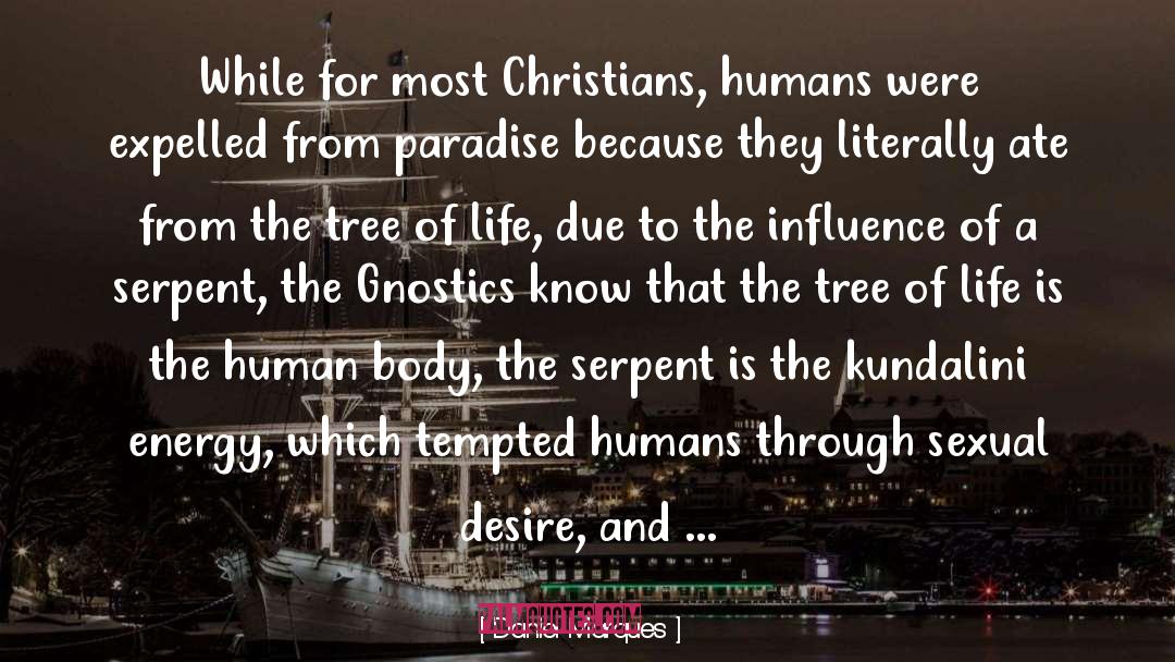 Daniel Marques Quotes: While for most Christians, humans