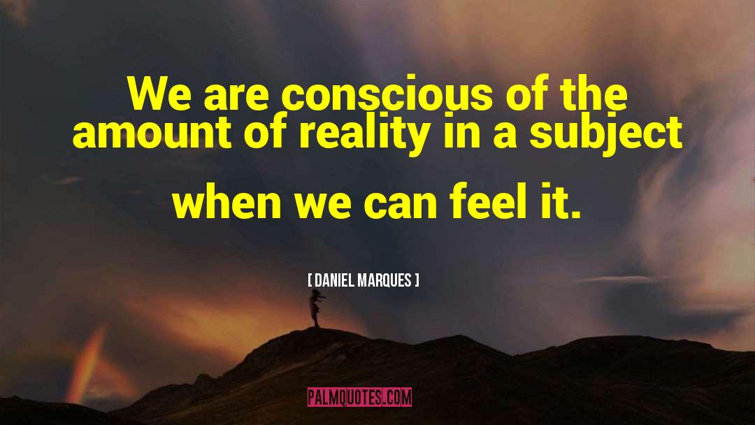 Daniel Marques Quotes: We are conscious of the