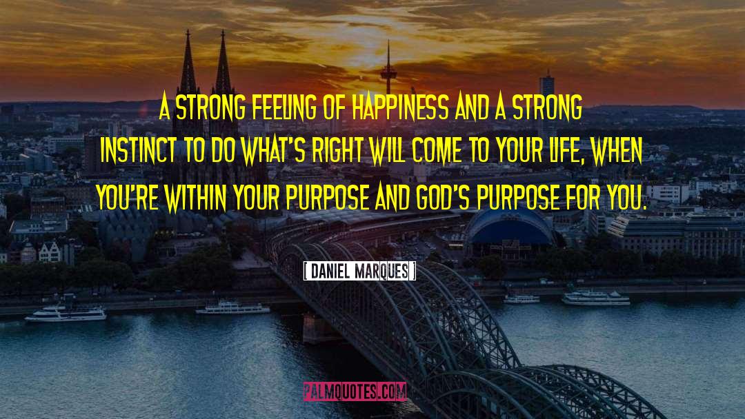 Daniel Marques Quotes: A strong feeling of happiness